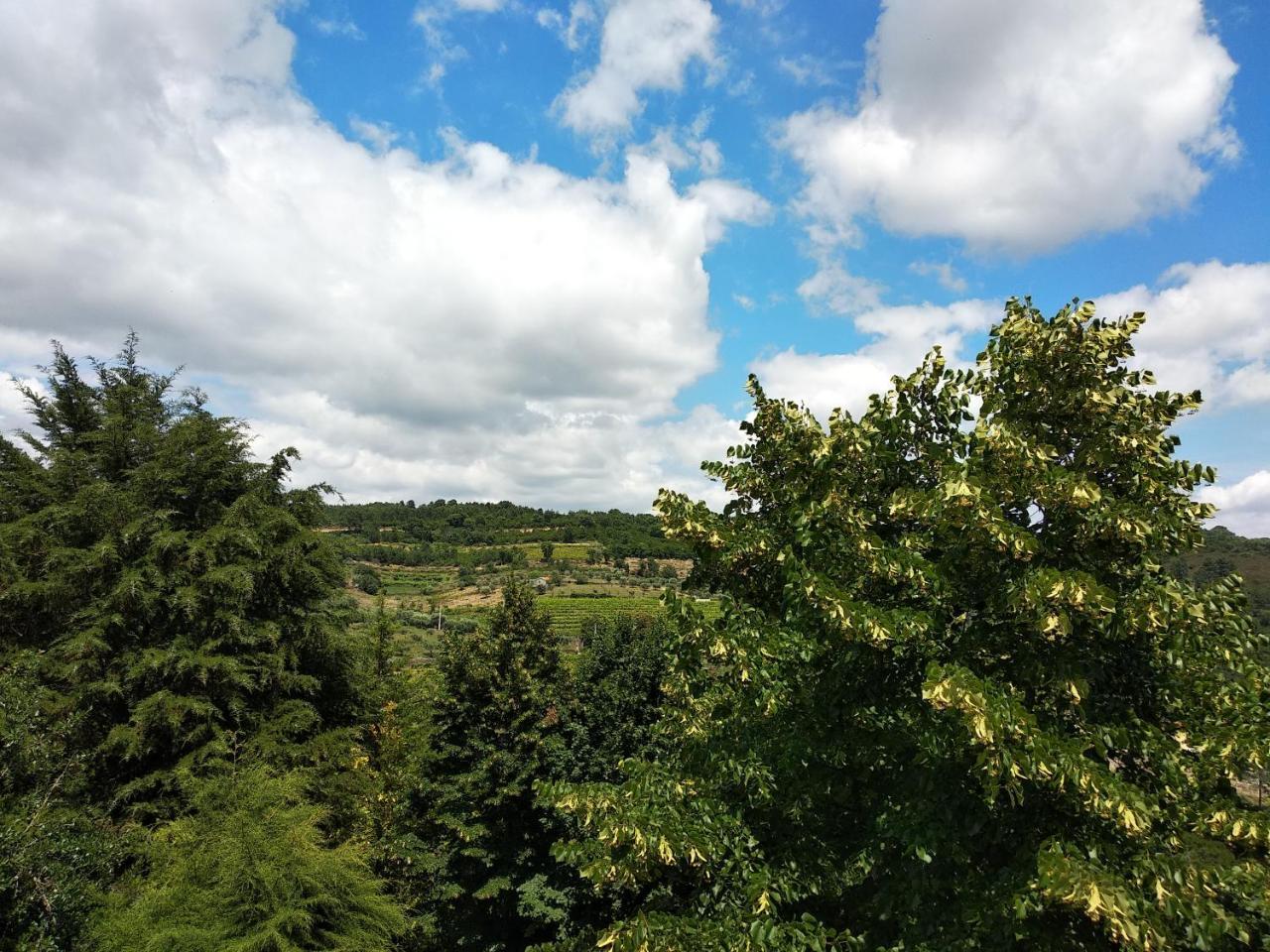 Отель Quinta Da Telheira Вила-Реал Экстерьер фото